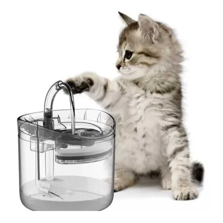 fuente para gatos